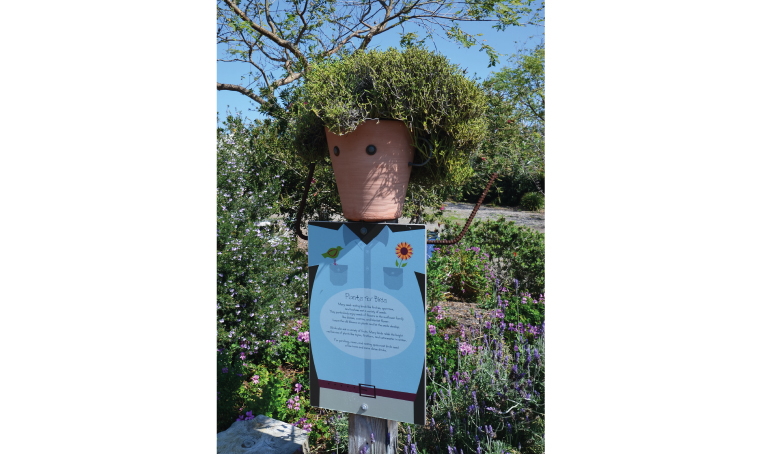 A Pot Head At The San Diego Botanic Gardens Gallery 3