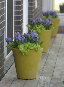 Personalize your Entriway blog | P Allen Smith - Crescent Garden