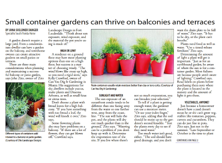 SMALL CONTAINER GARDENS CAN THRIVE ON BALCONIES AND TERRACES
