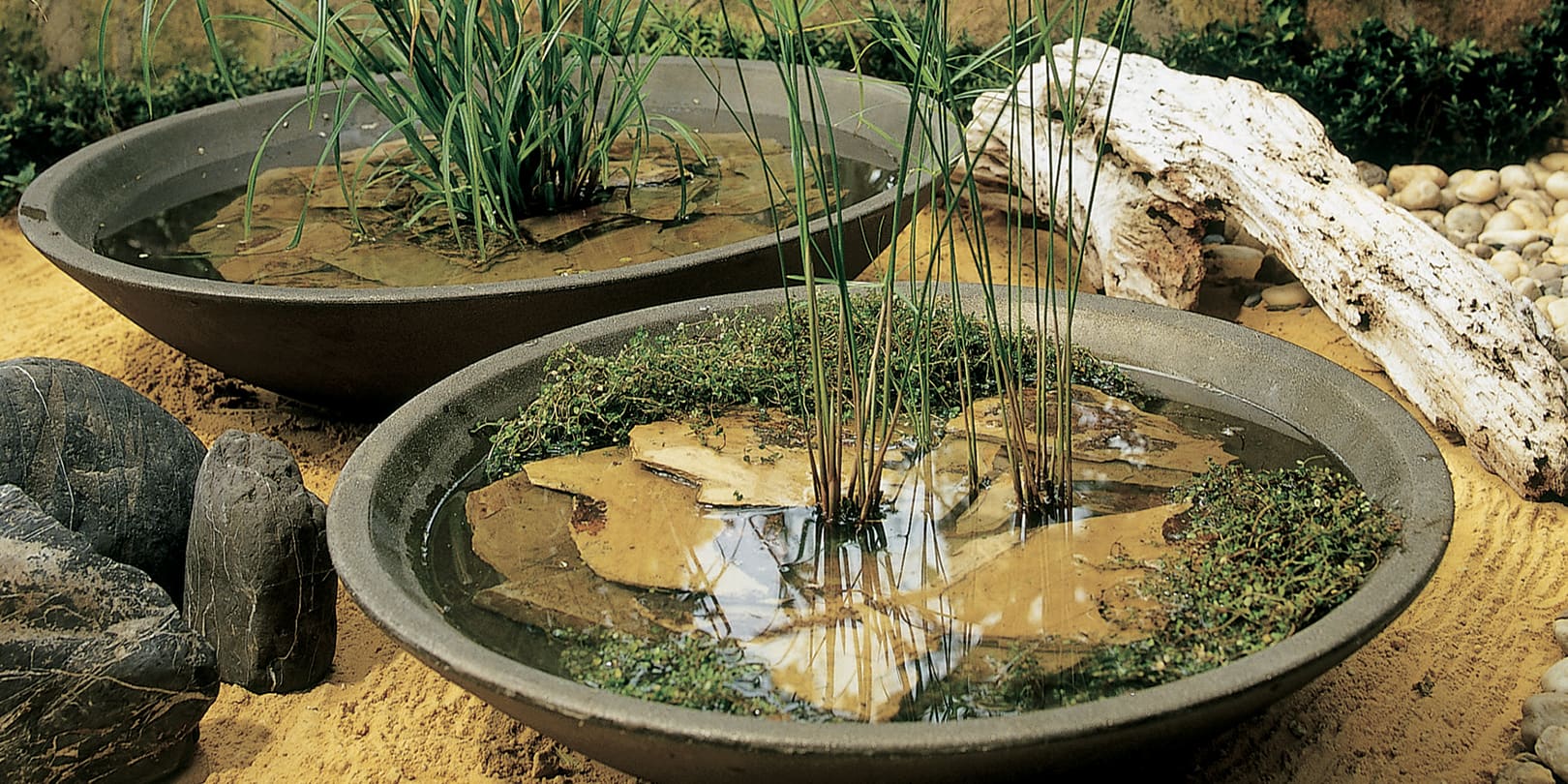 Montana Bowl as Water Feature