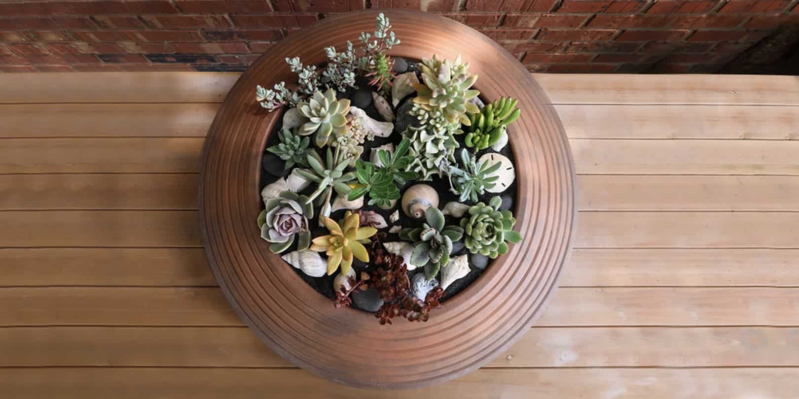 BOWL WITH SUMMER, SUCCULENTS, AND SEASHELLS