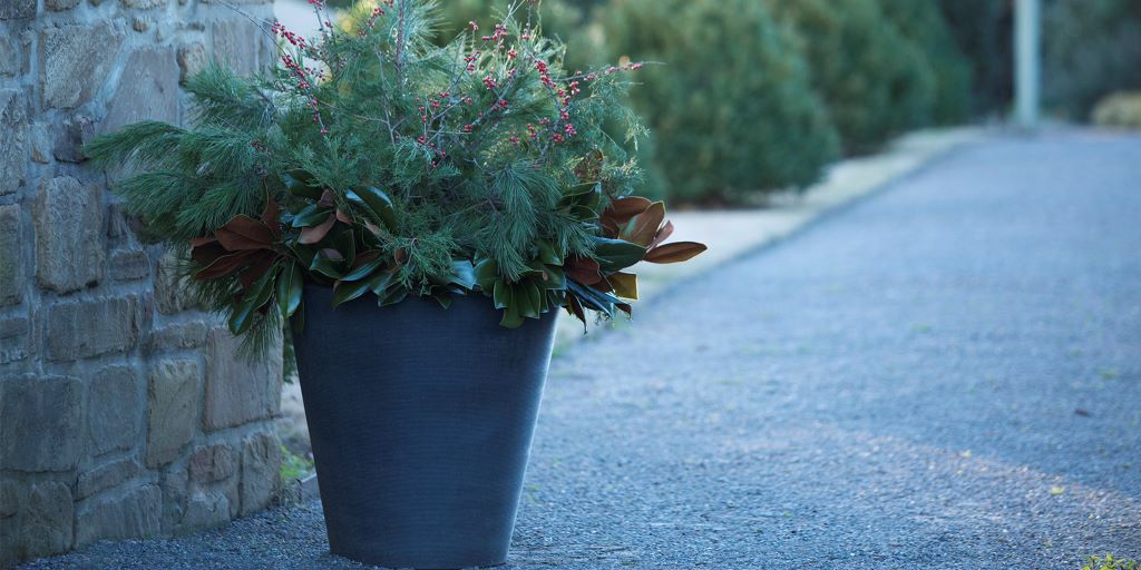 Madison Planter season plants