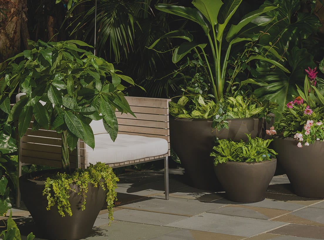 A Winning Combination: All-American Selections and Crescent Garden Planters