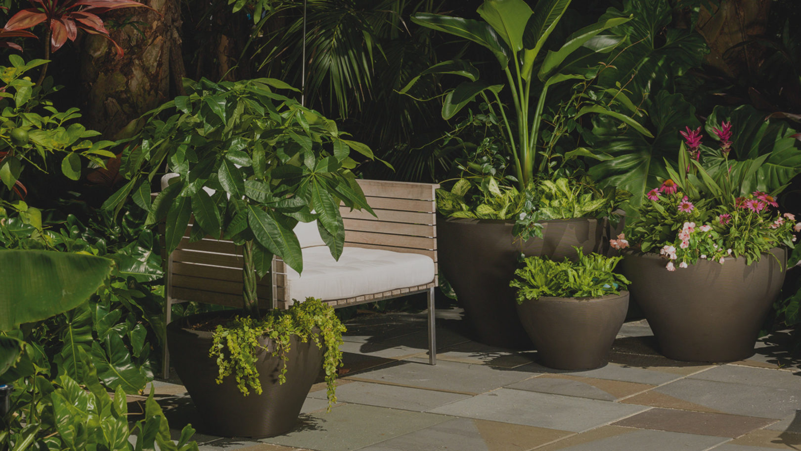 crescent-garden-shop-front slider aboutus