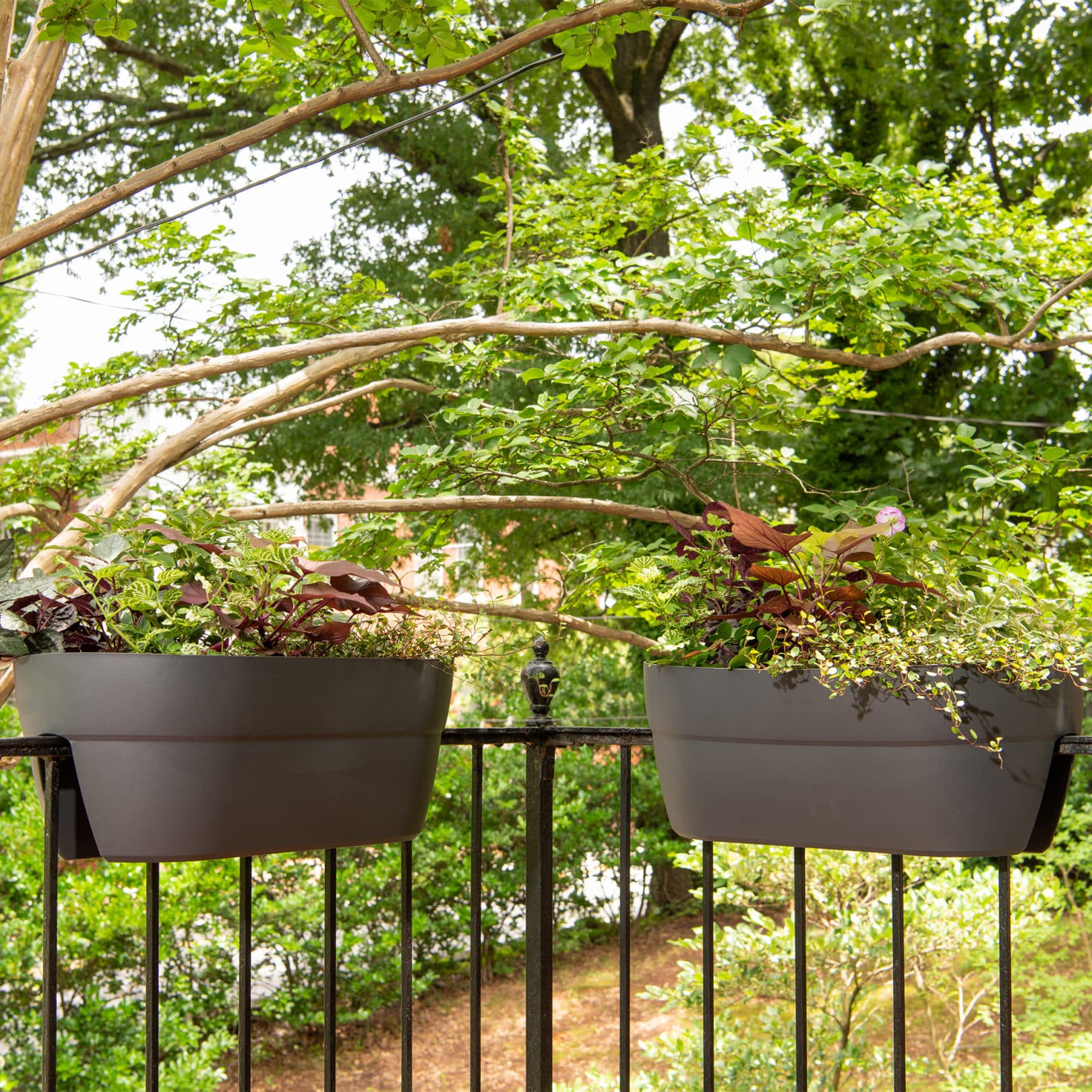 Ella Railing Planters Crescent Too