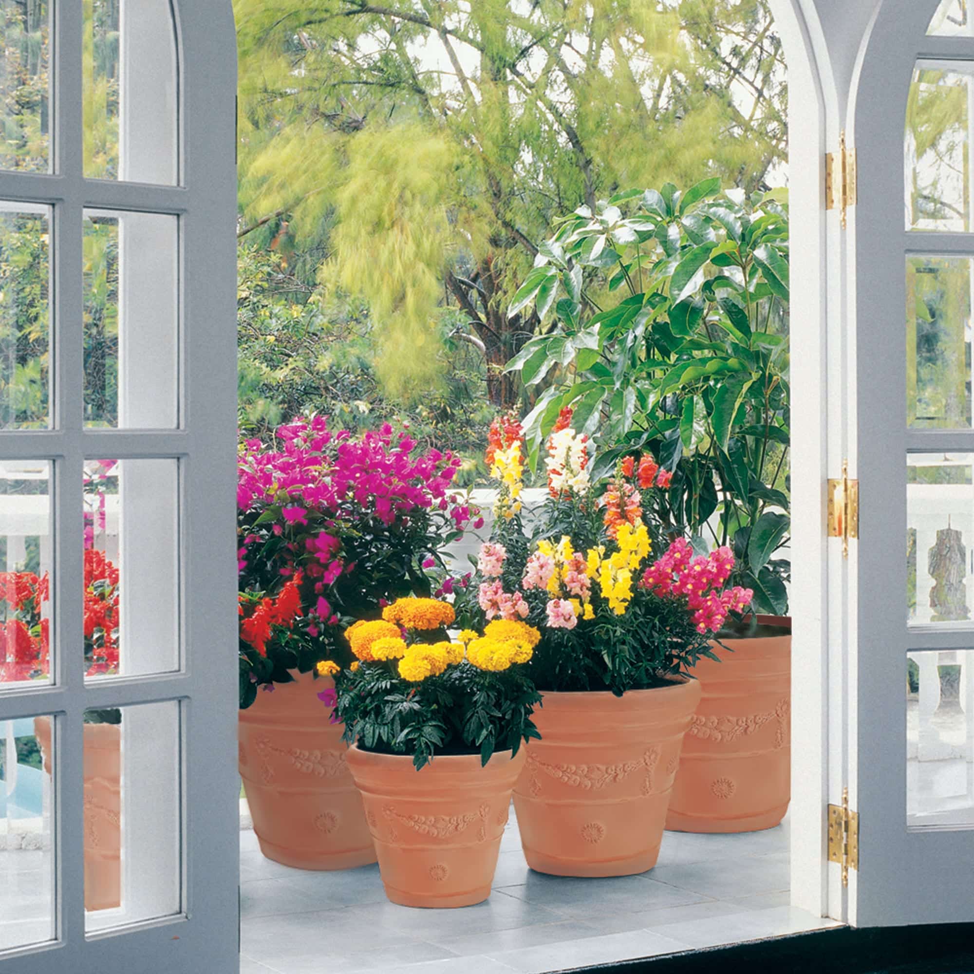 Balcony through window with Festonada Planters