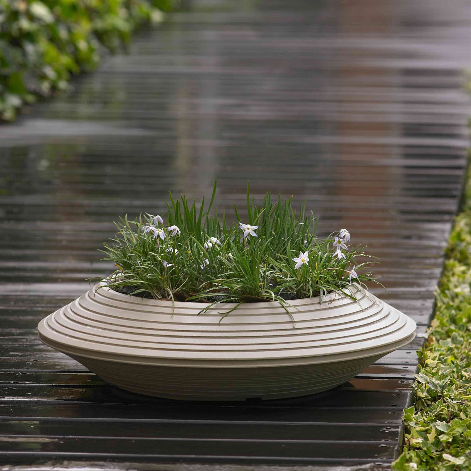 Boardwalk with Potted Daniel Bowl in Weathered Stone