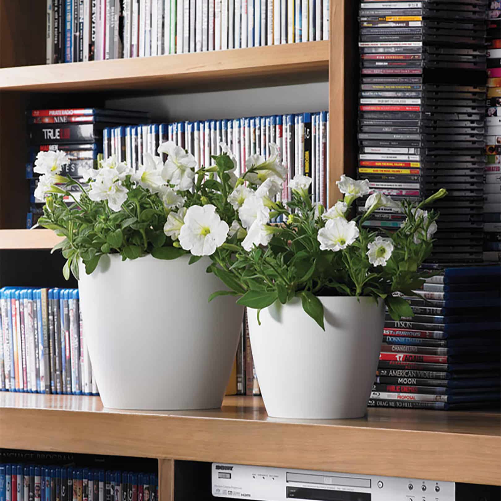 Bookshelf with Eva planters