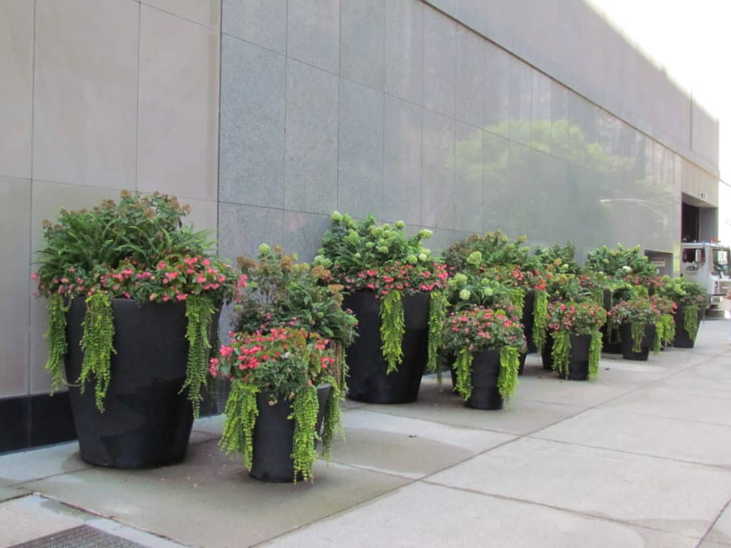 Crescent planters Chicago