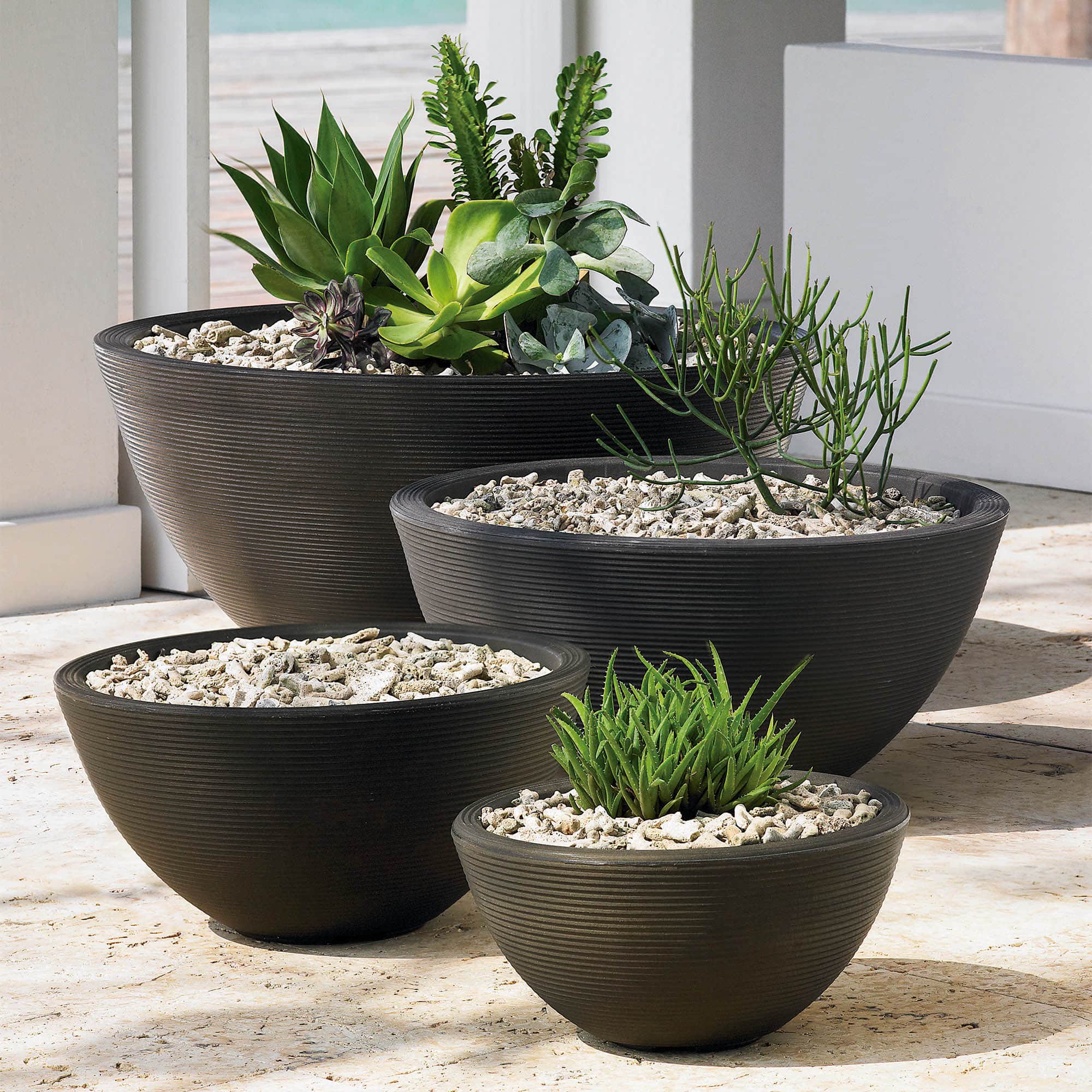 Delano Planters grouping of sizes