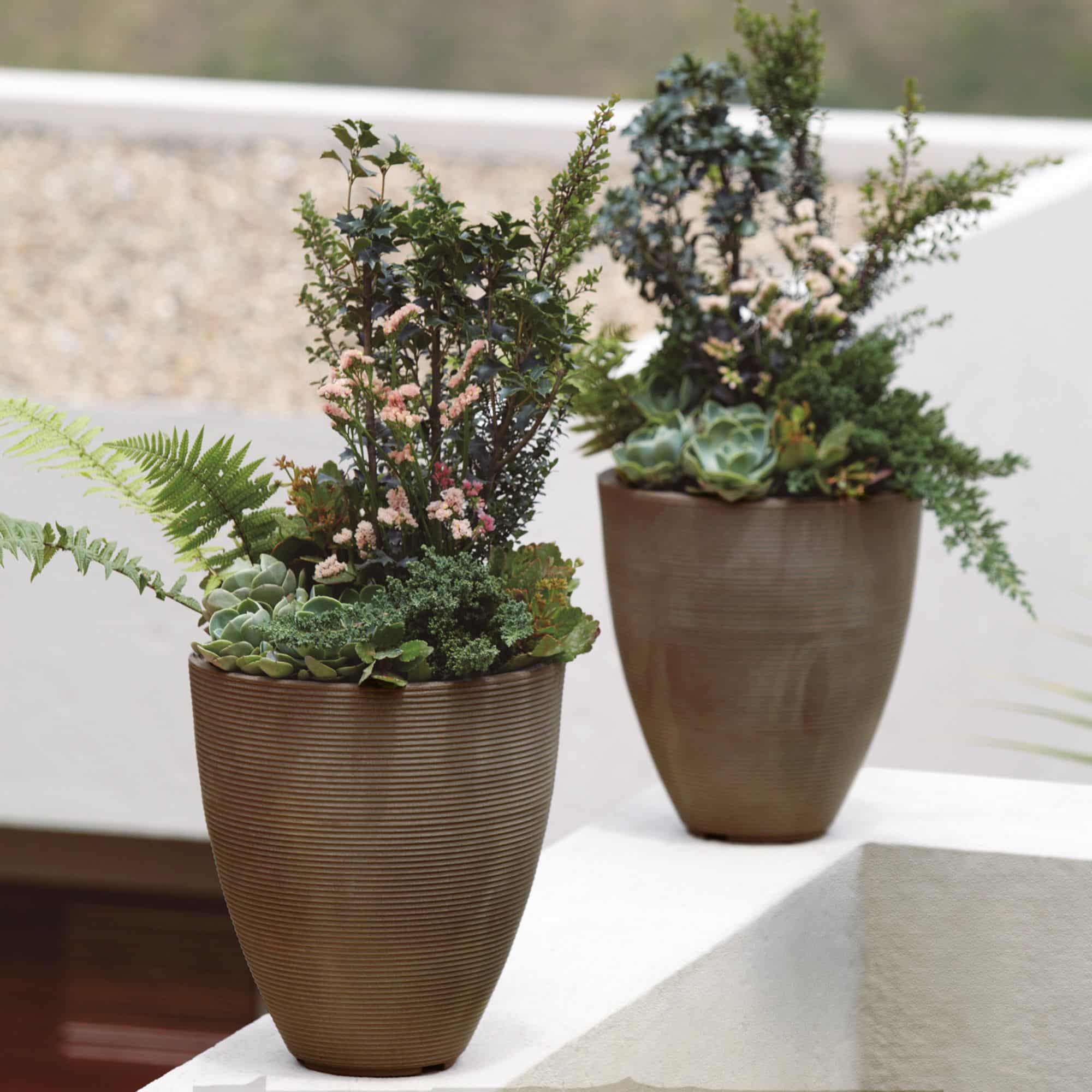 Delano Tall Planter in color Mocha with Plants