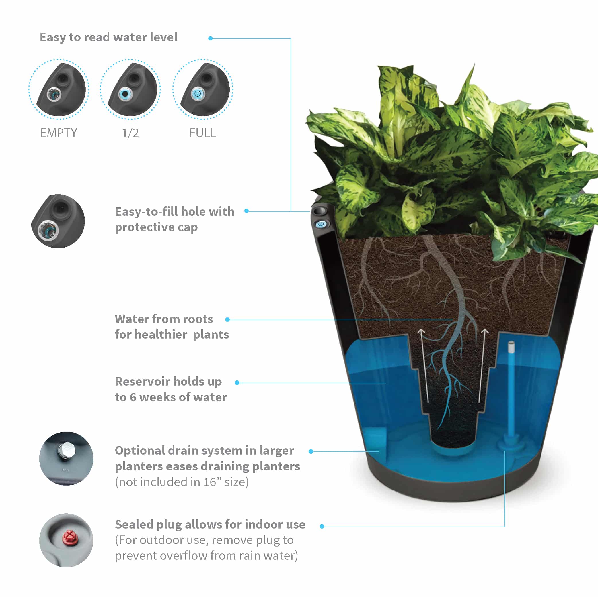 Dot Self Watering Plant Pots