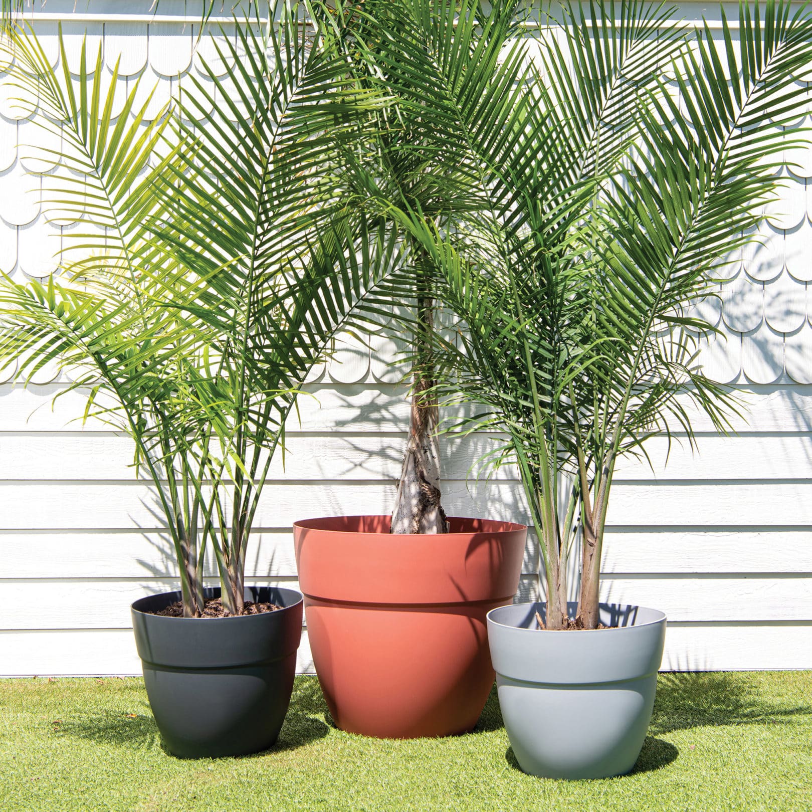family of ella planters with palms