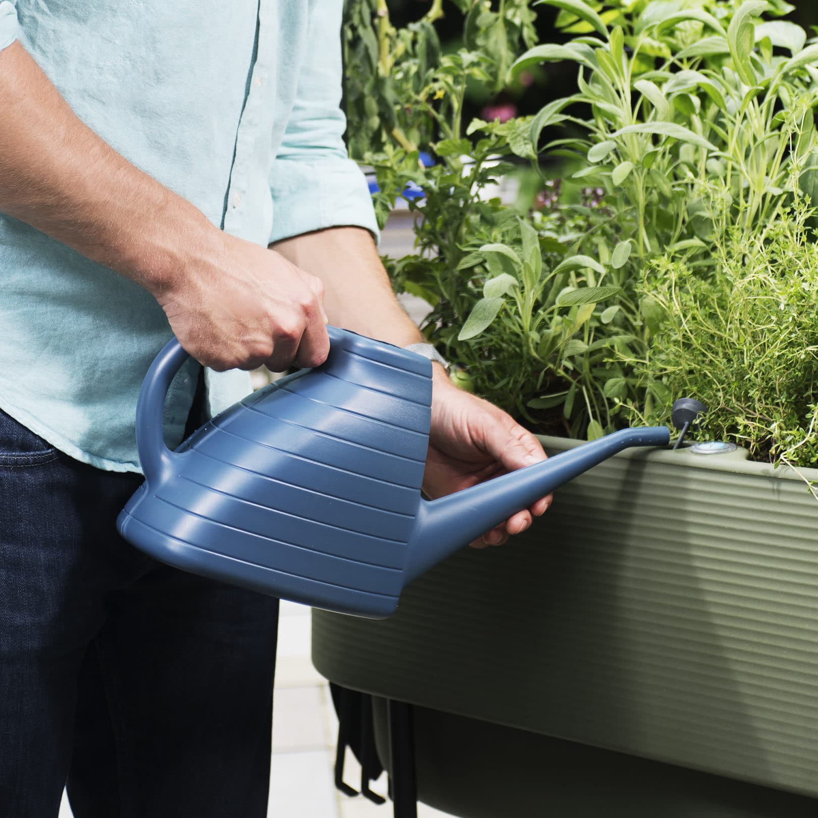 Filling nest planter with eos watering can