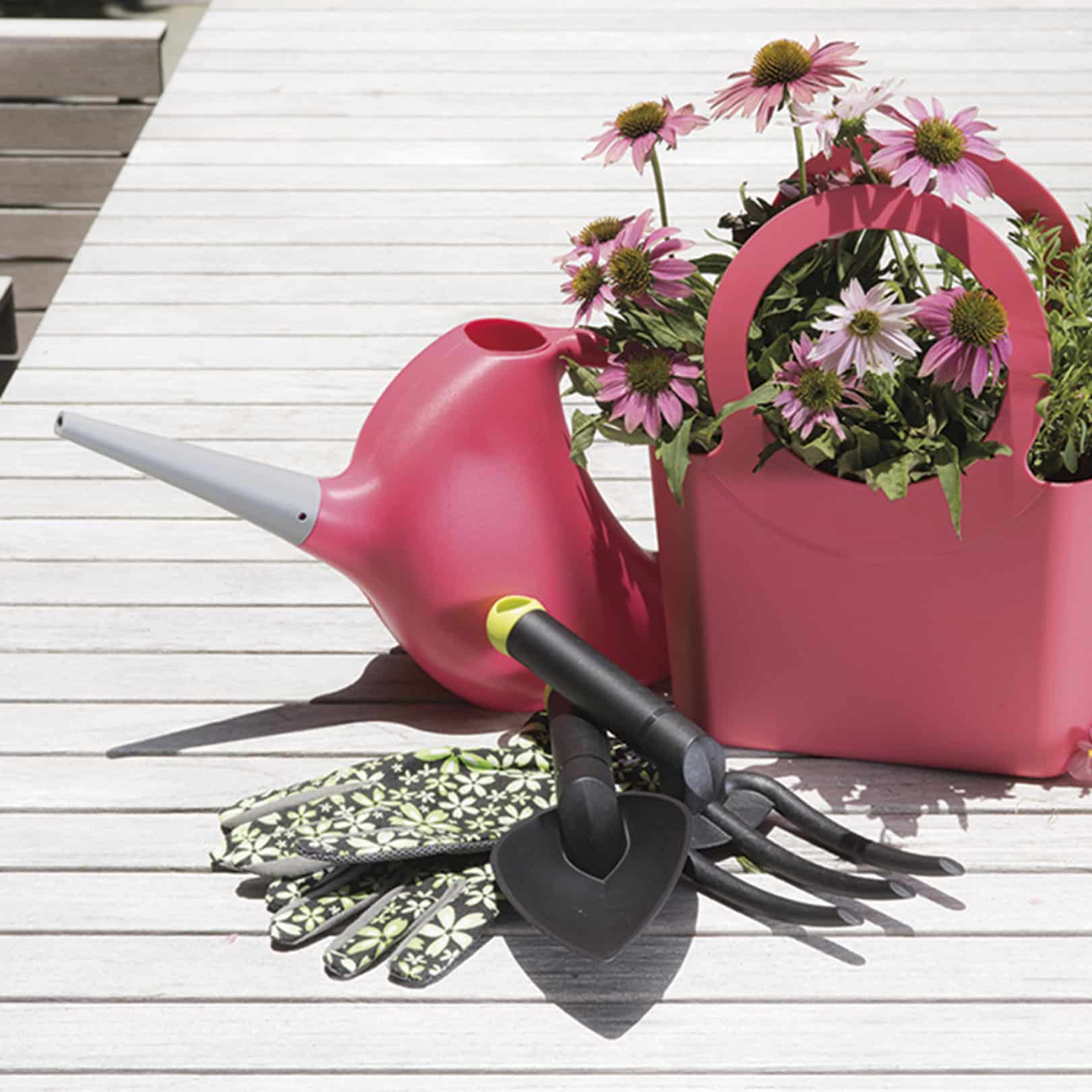 gardening tools with pinocchio watering can