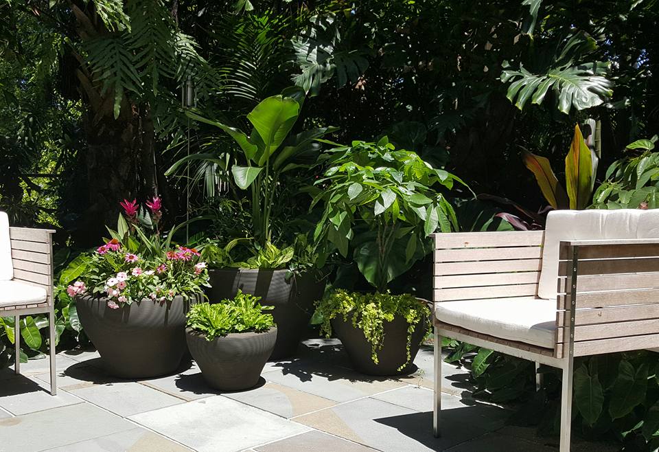 planter combo in outdoor sitting area