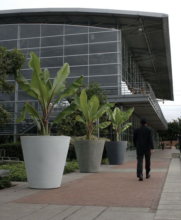 Giant Madison Planters