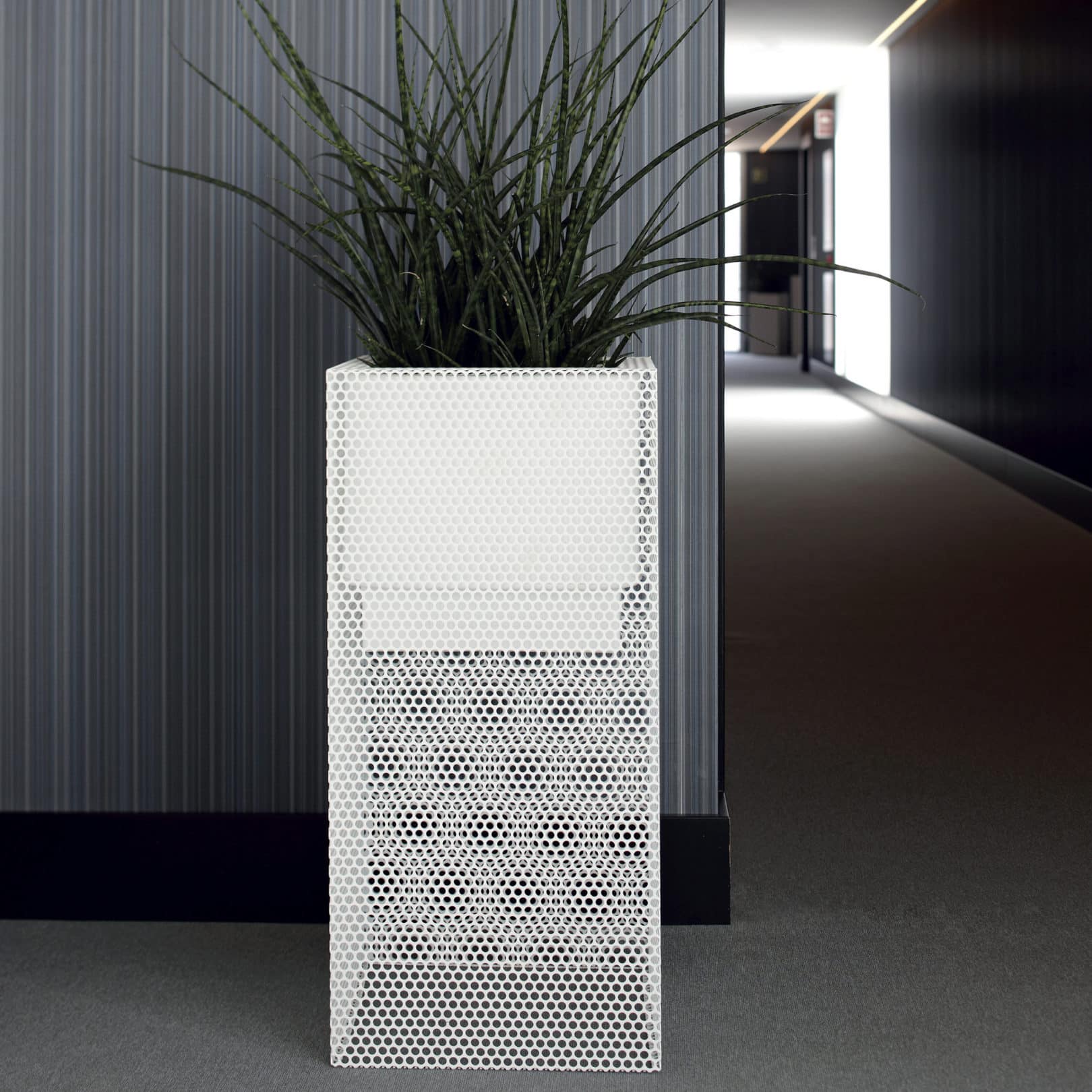 Hallway with Ferrum Perforated Tall Square planter
