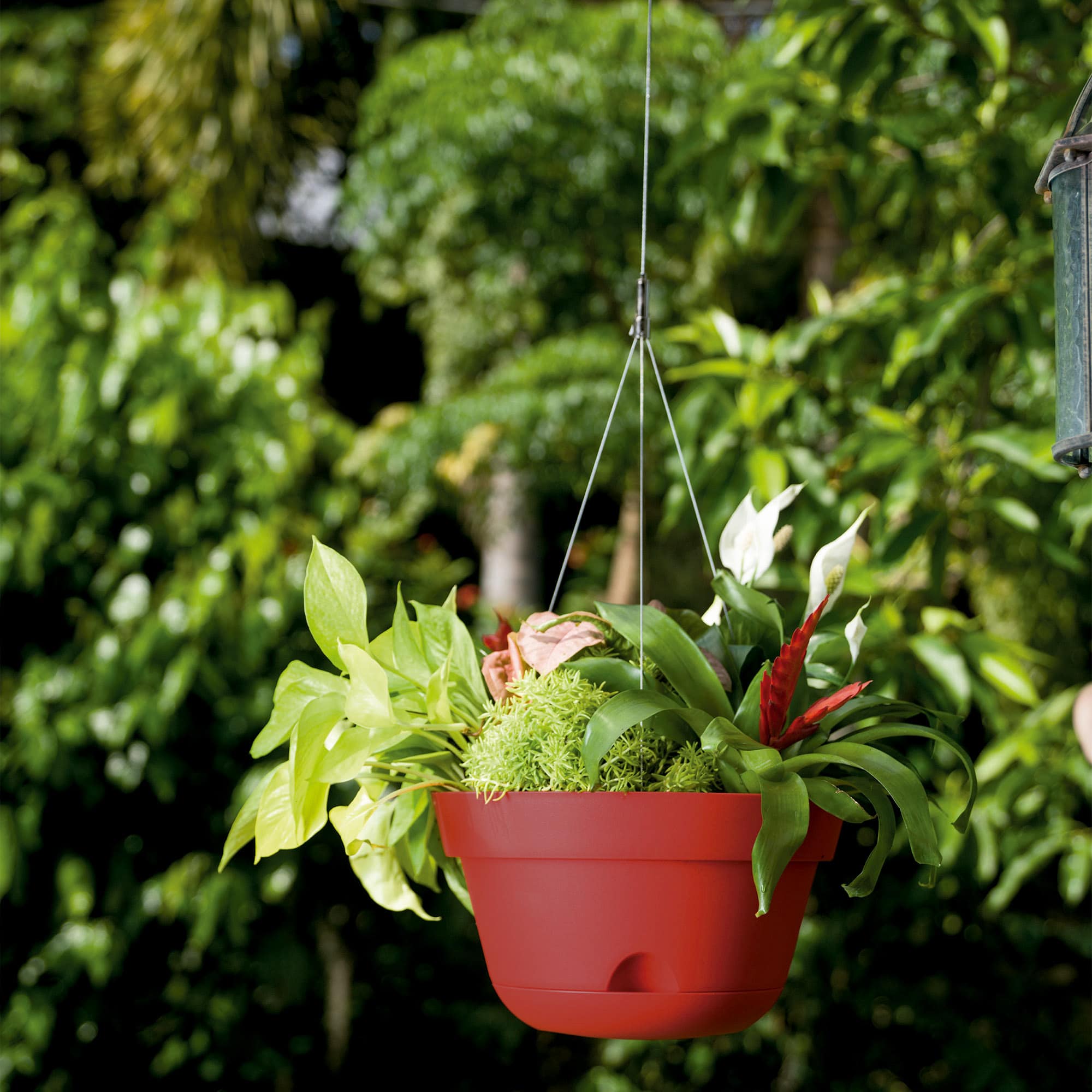 Hanging-Hook-and-Saucer-with-Pierre-Hanging-Planter