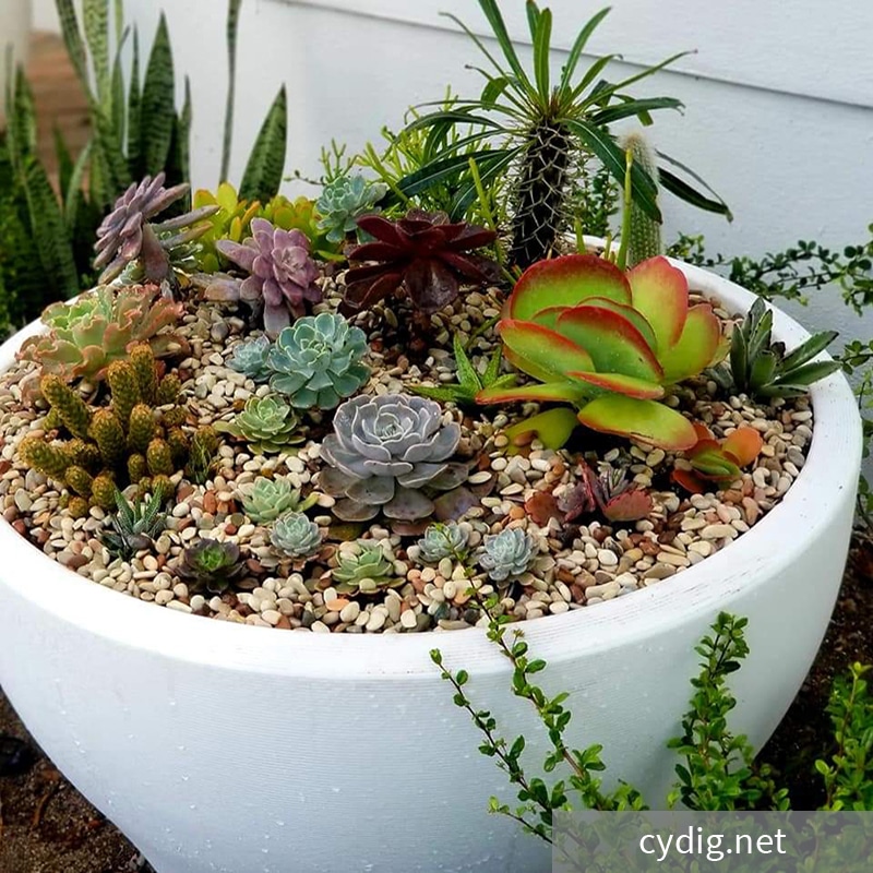 Juno Curved Planter | Crescent Garden