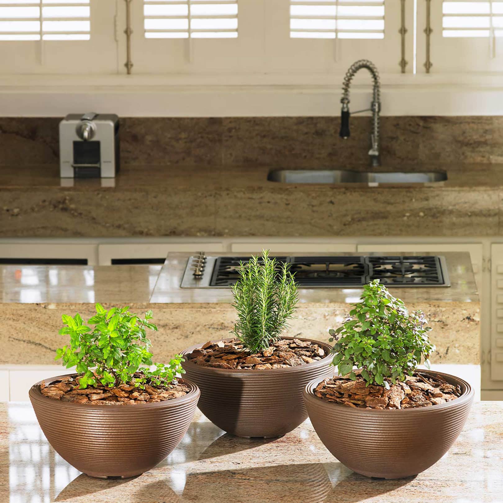 https://www.crescentgarden.com/wp-content/uploads/2020/05/Kitchen-Counter-with-small-Delano-Planters.jpg