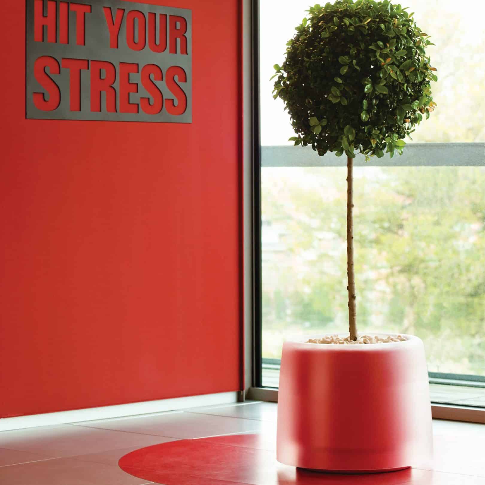 Lux red planter in office entrance