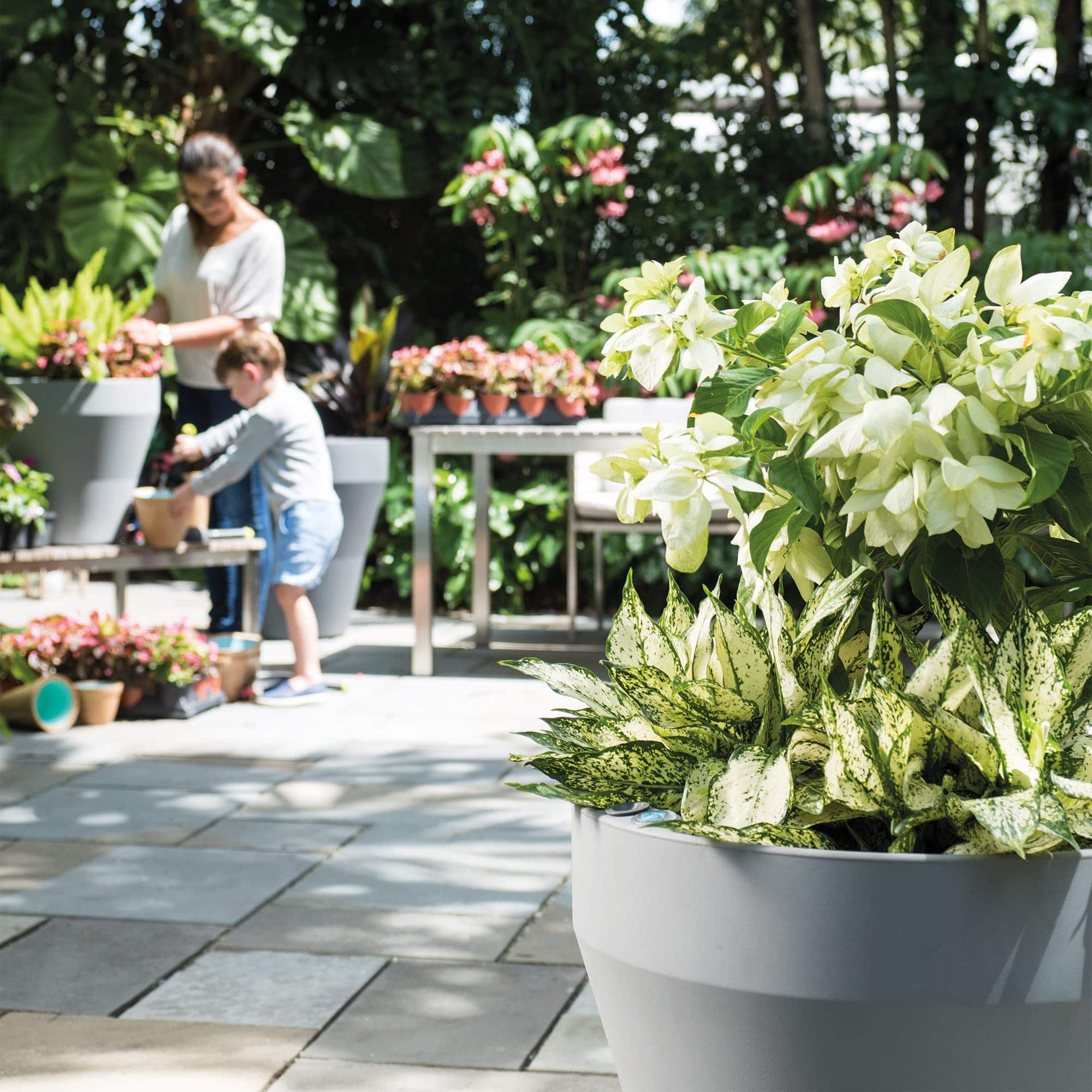 Mother and Child with Rim Planters Ash