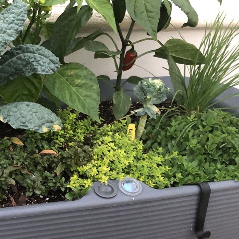 Nest Planter with water level indicator