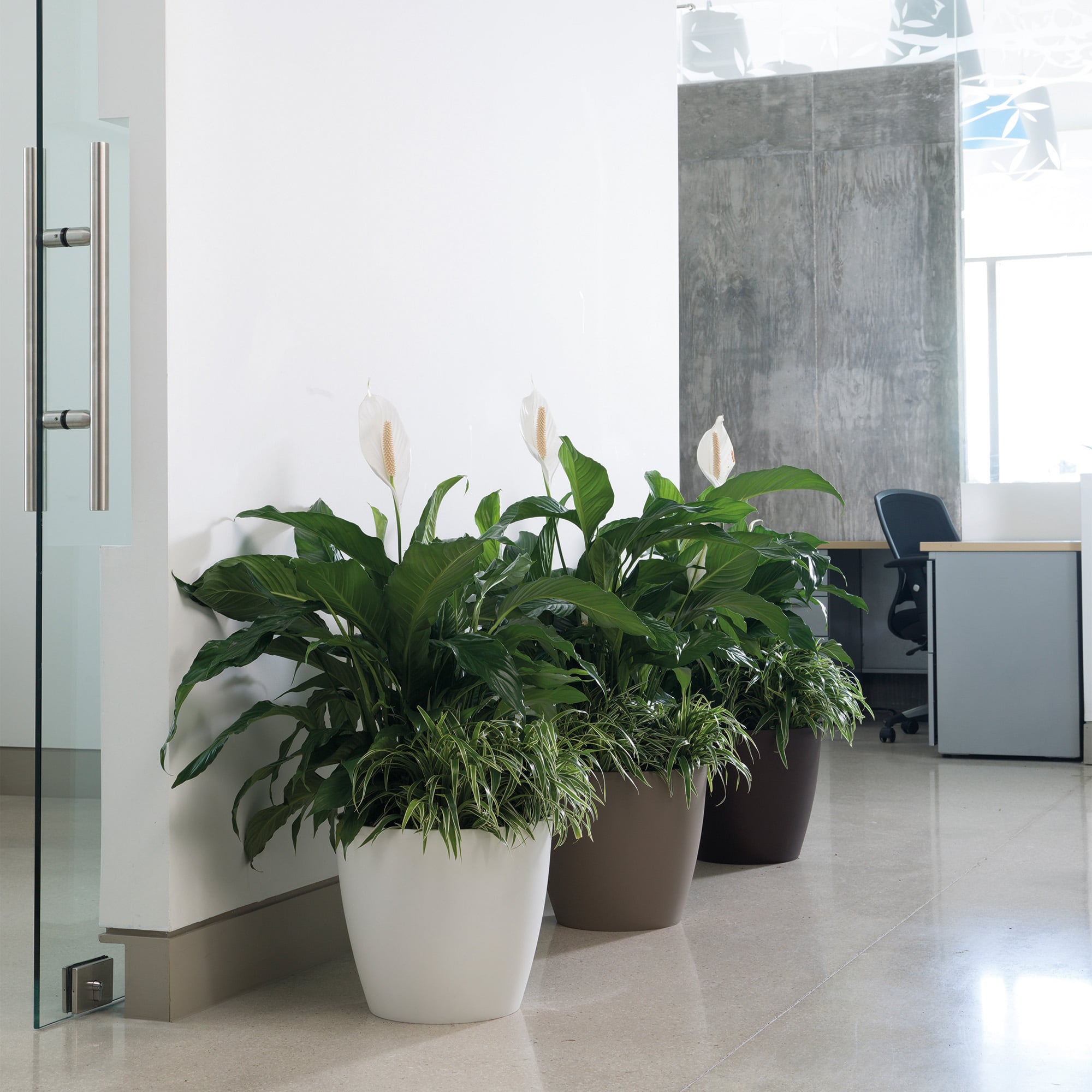 Office space with Eva Planters