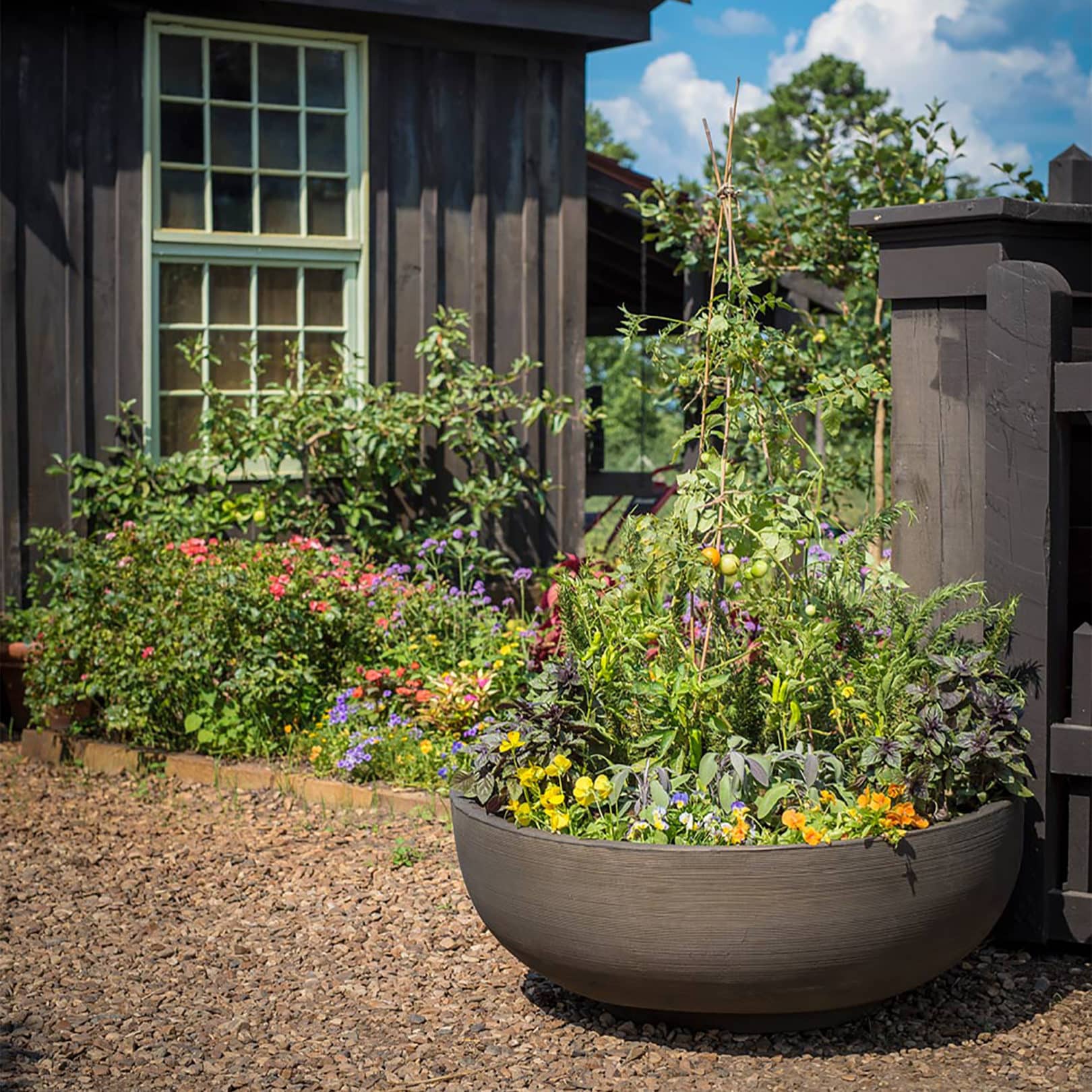 Outdoor Planting in Orinoco Bowl