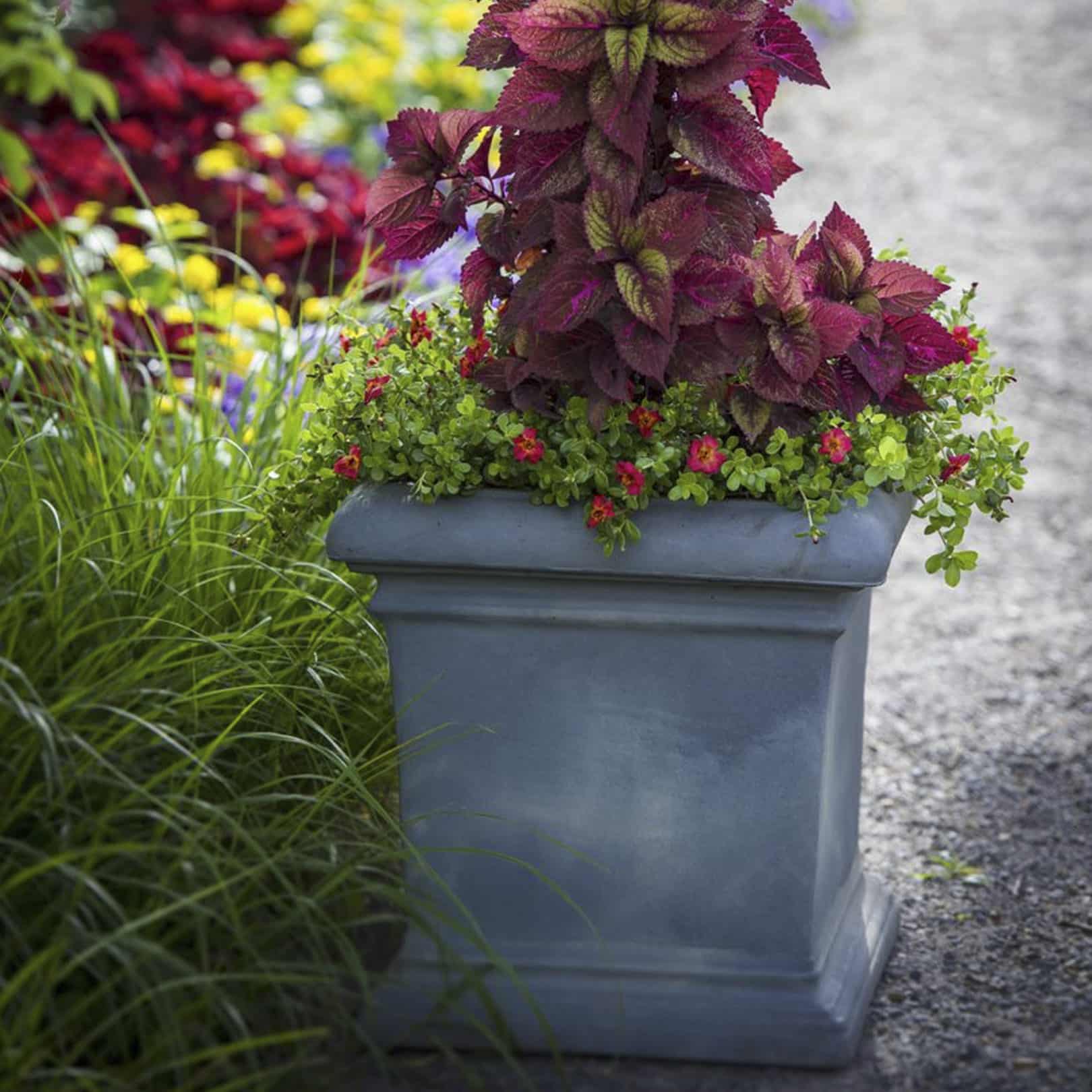 Outdoor Potted Dorchester Planter