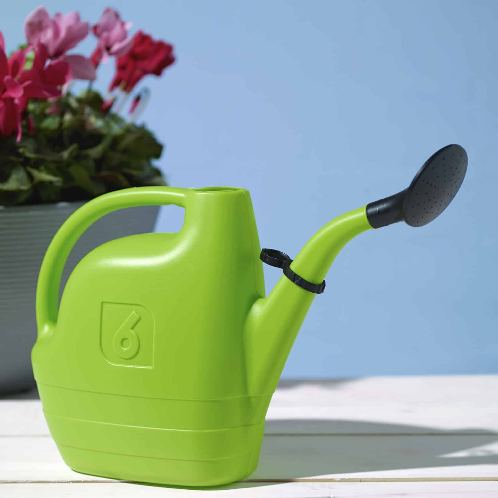 potted flowers with energy XL large watering can