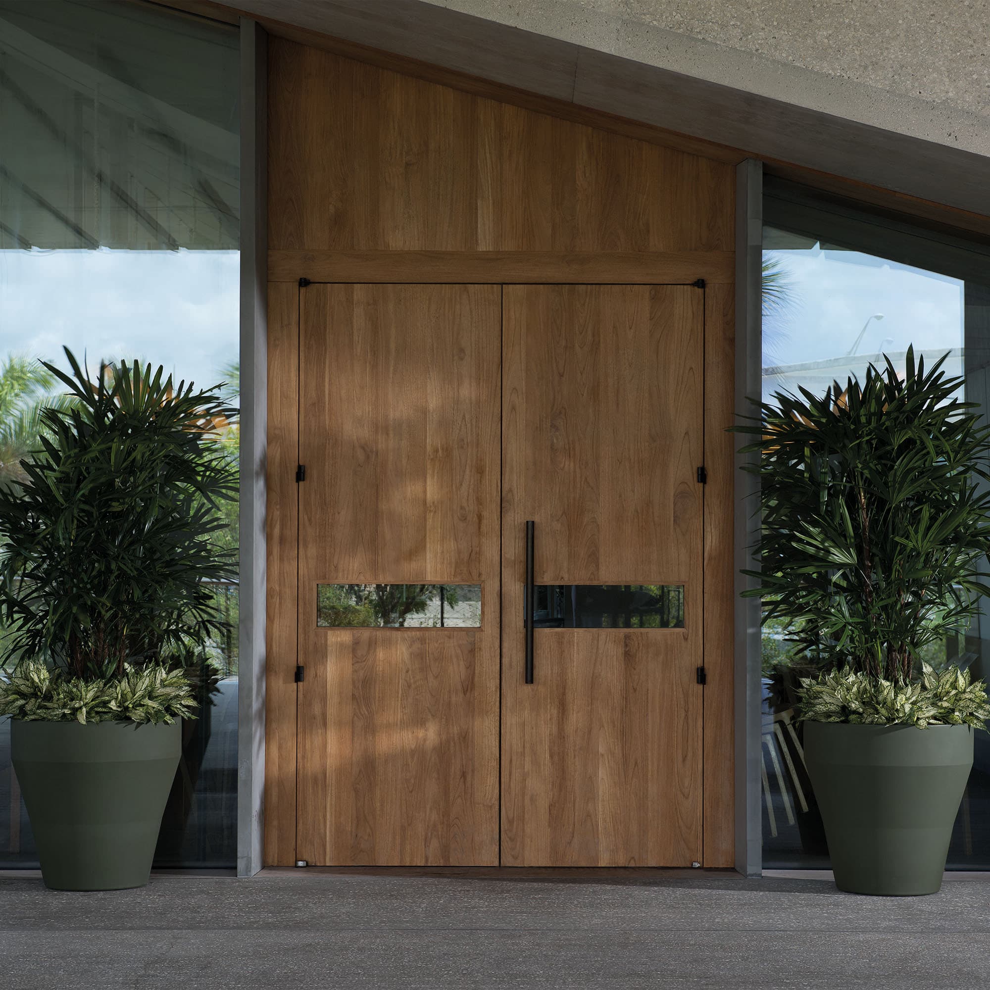Rim Planters potted by Double doors