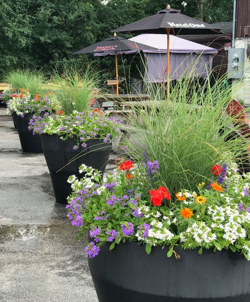 Rim Planters in Restauran