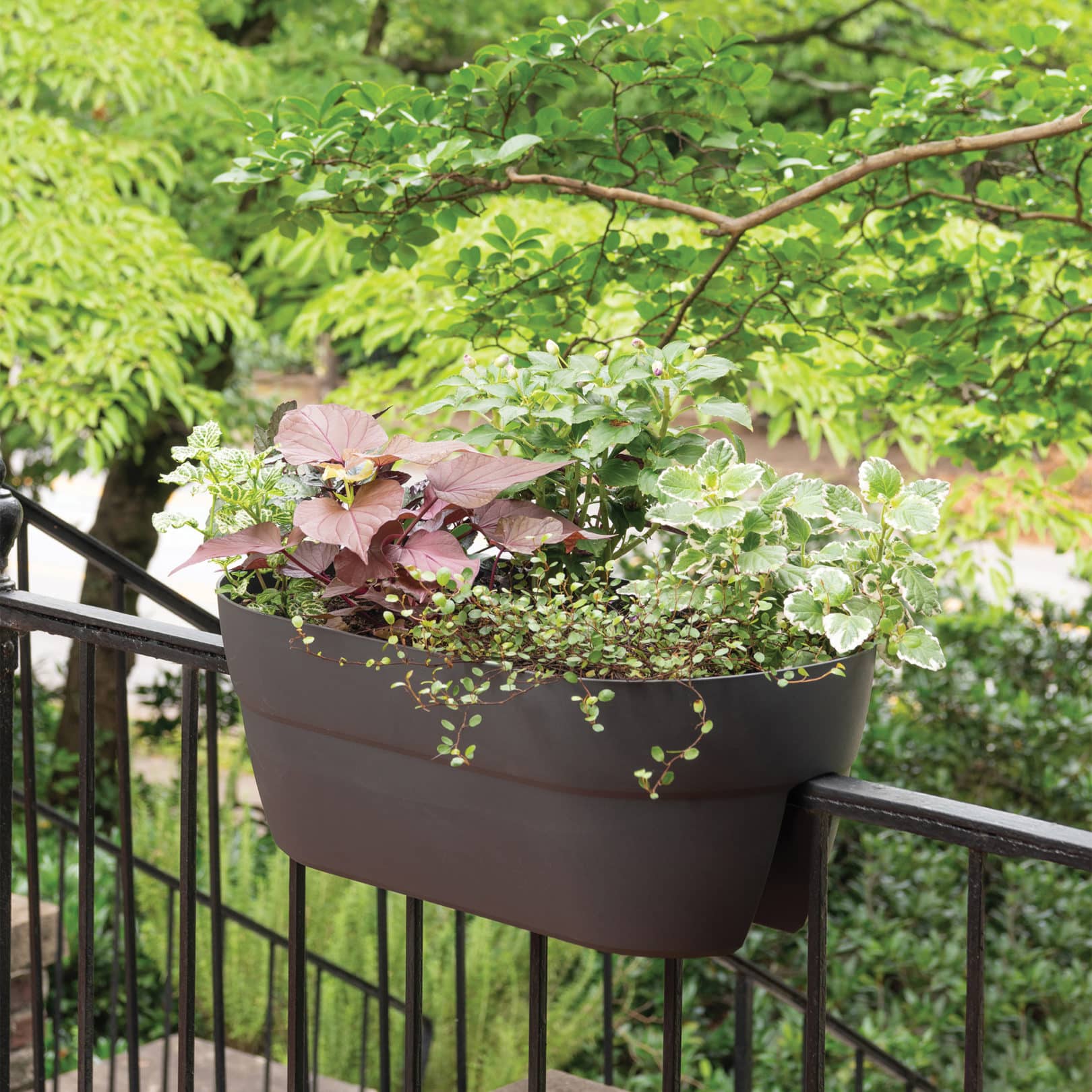 Ella Railing Planters Crescent Too