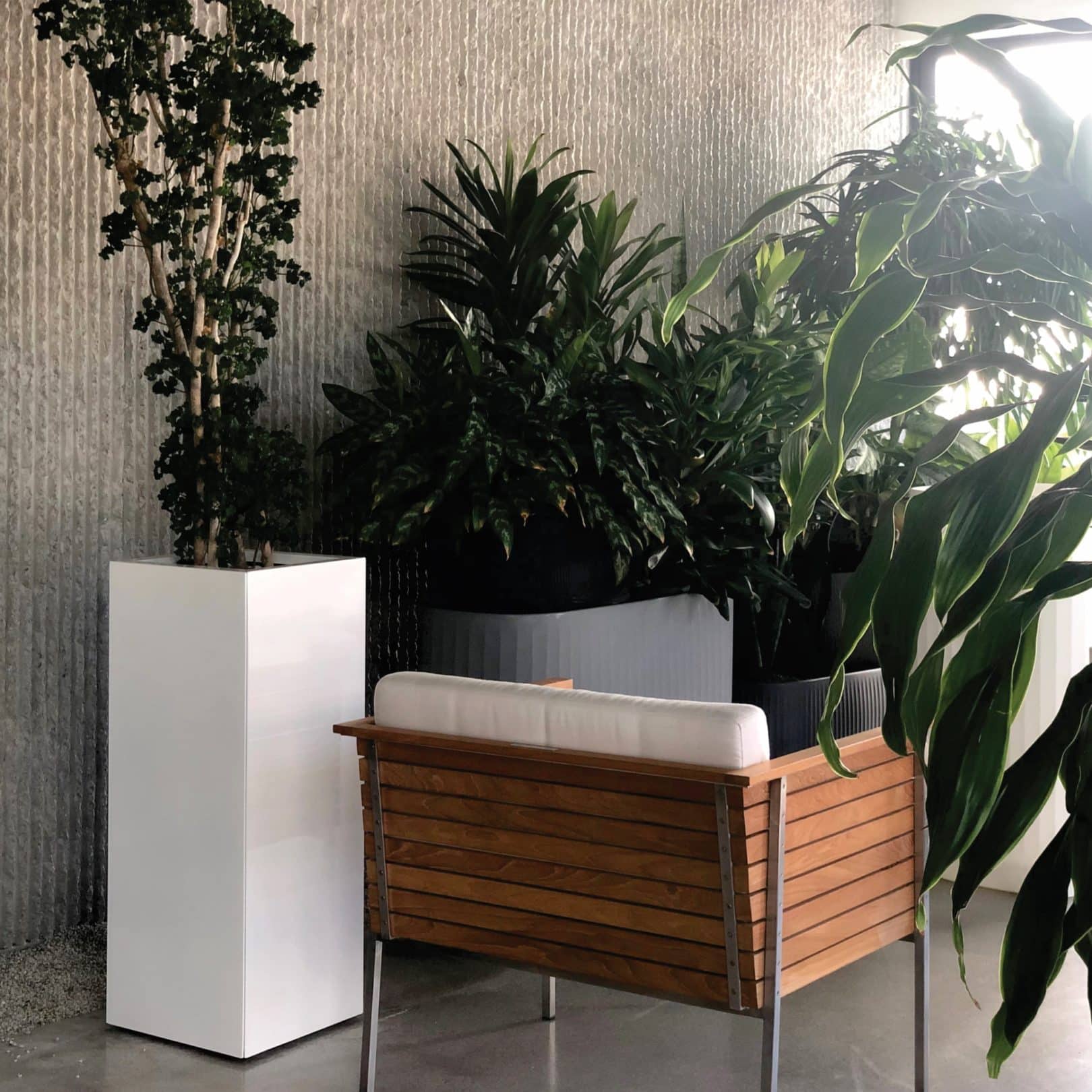 Tall Ferrum Square planter in white in tropical interior