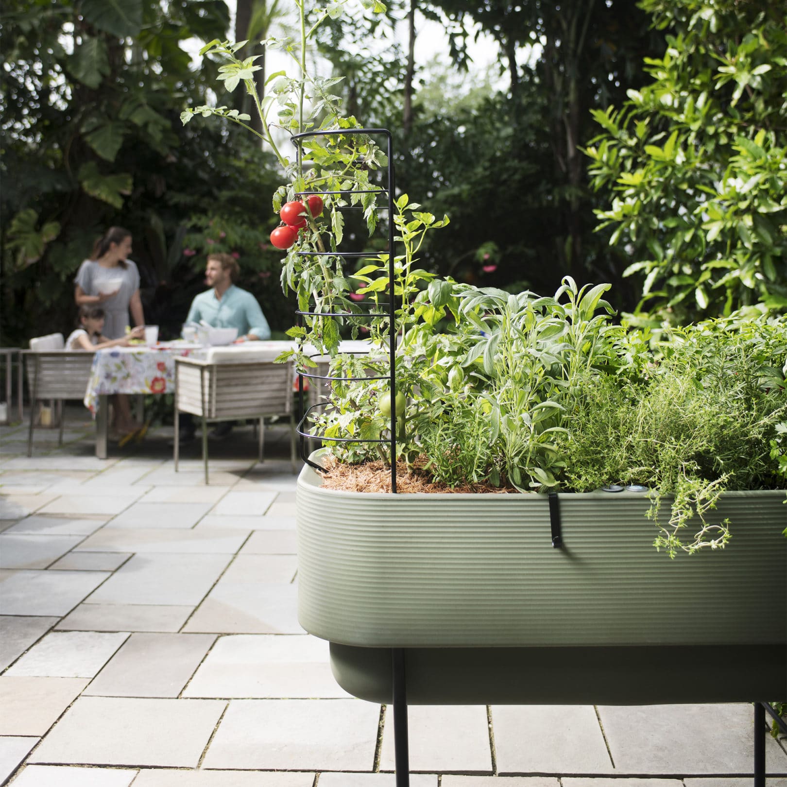 Tomatoes in Nest Raised Planter