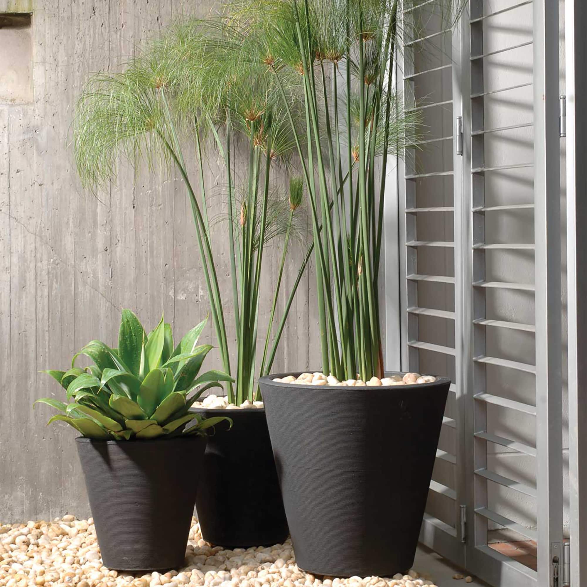 Trio of Potted Madison Planters outdoors.