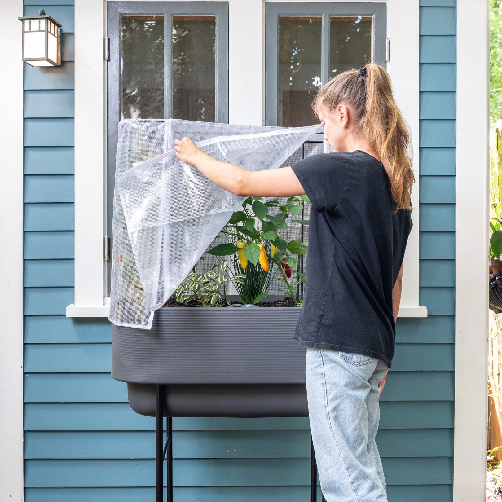 Using Greenhouse Cover for Nest Raised Planter