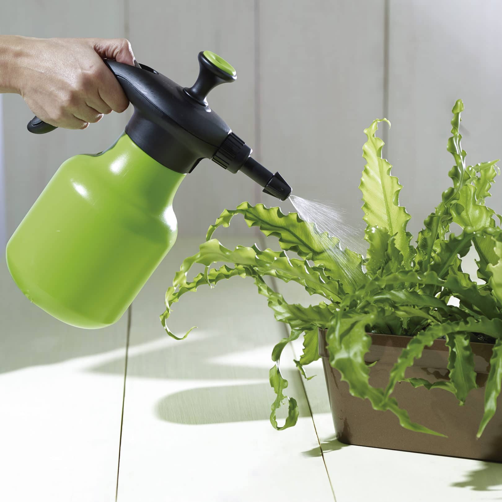 watering with energy pressure sprayer