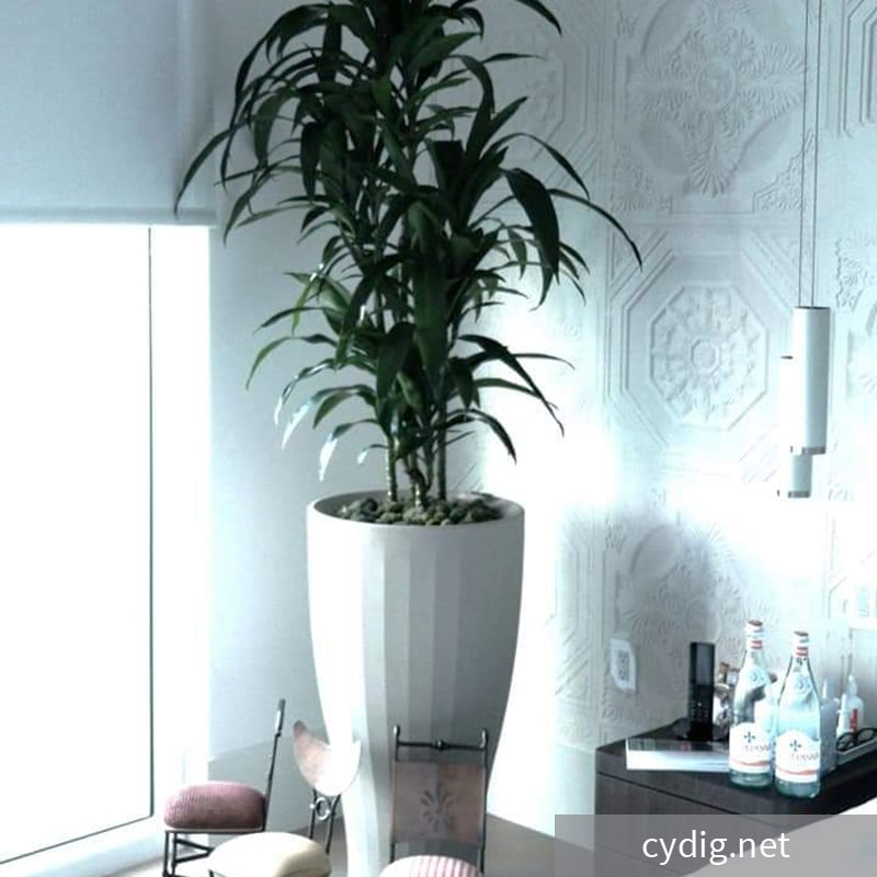 All white interior cup planter hotel space