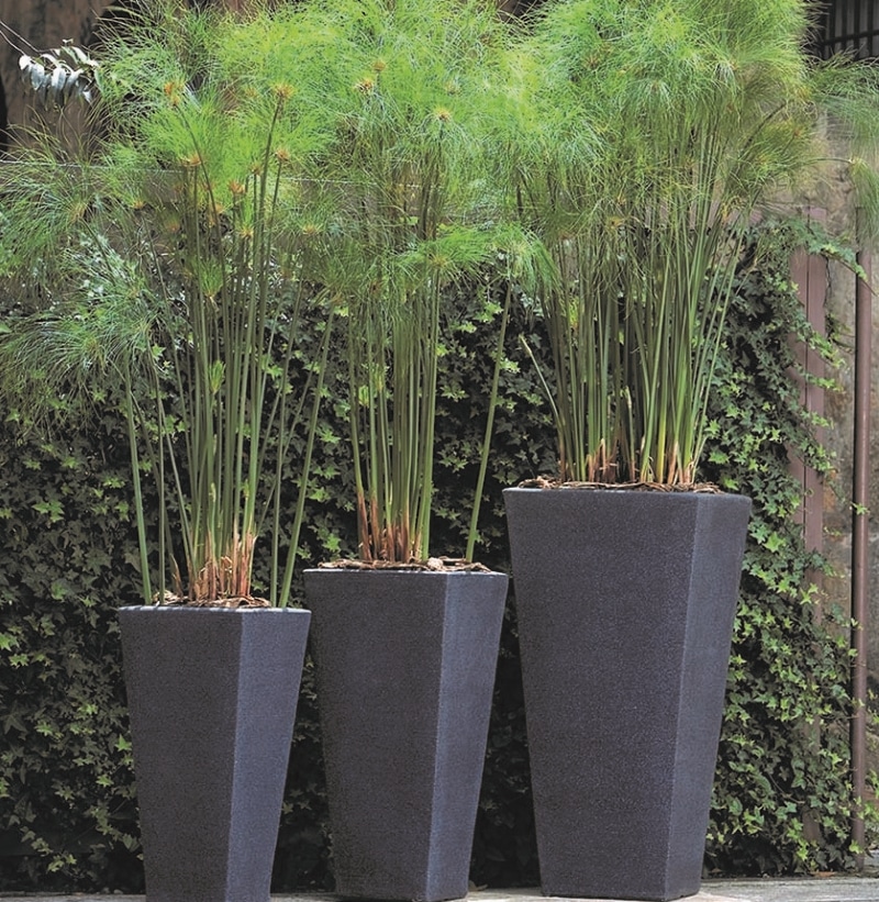 Bowery Tall Planters in Black