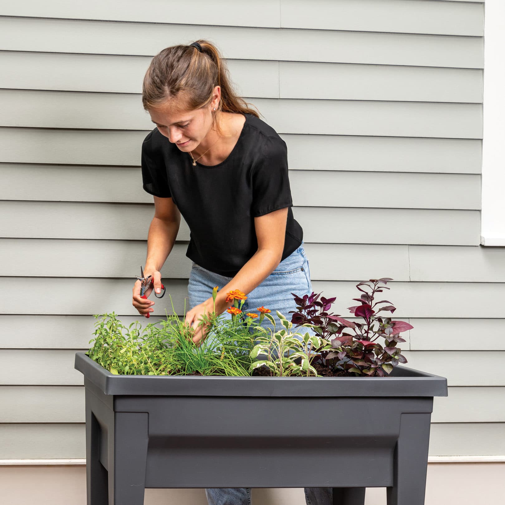 Harvest Raised Garden Bed