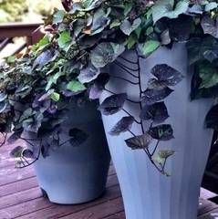 Cup Modern Self watering planter in Grey for Patio