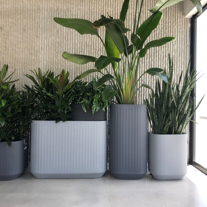 Grey Mod Set Planters