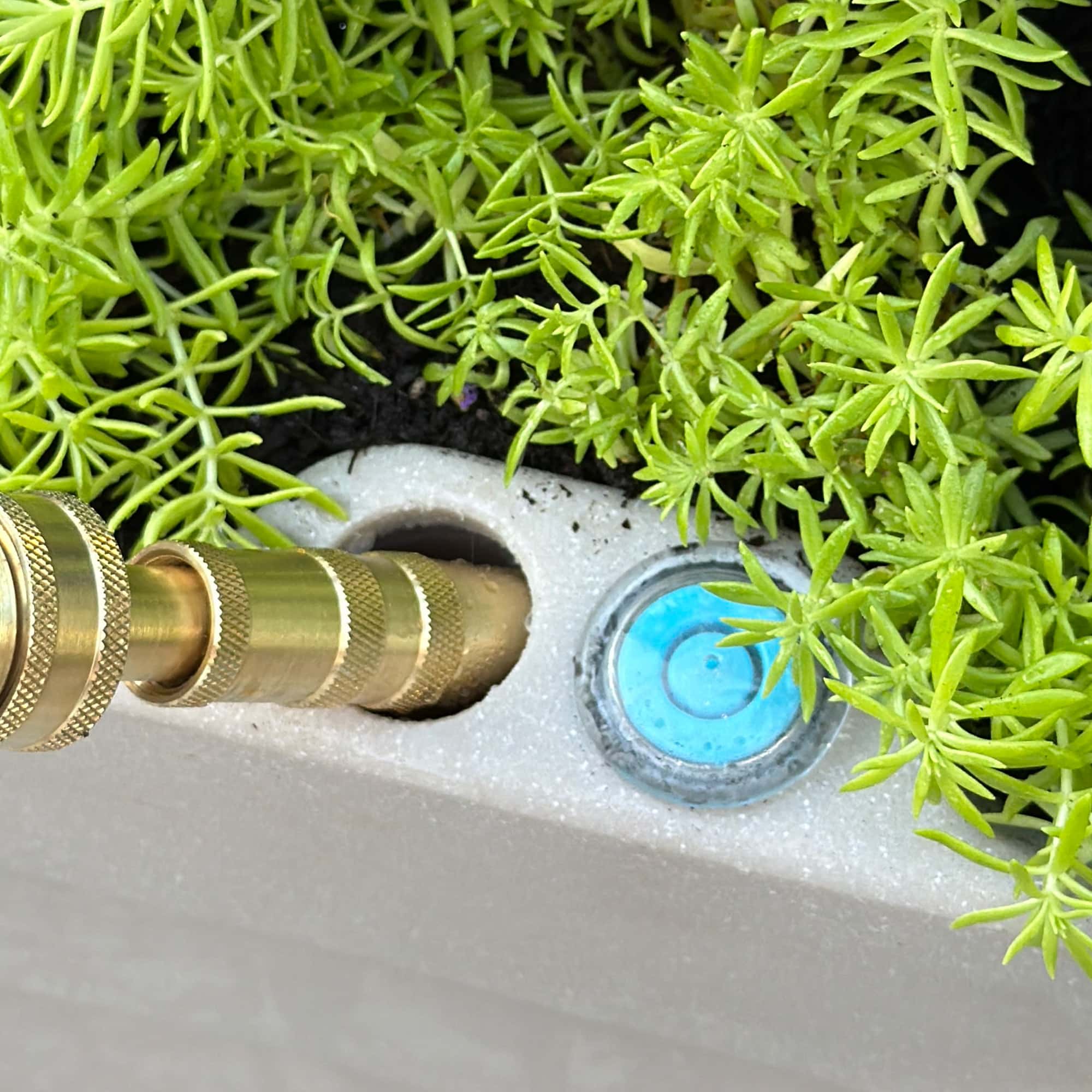 Close up photo of TruDrop Indicator