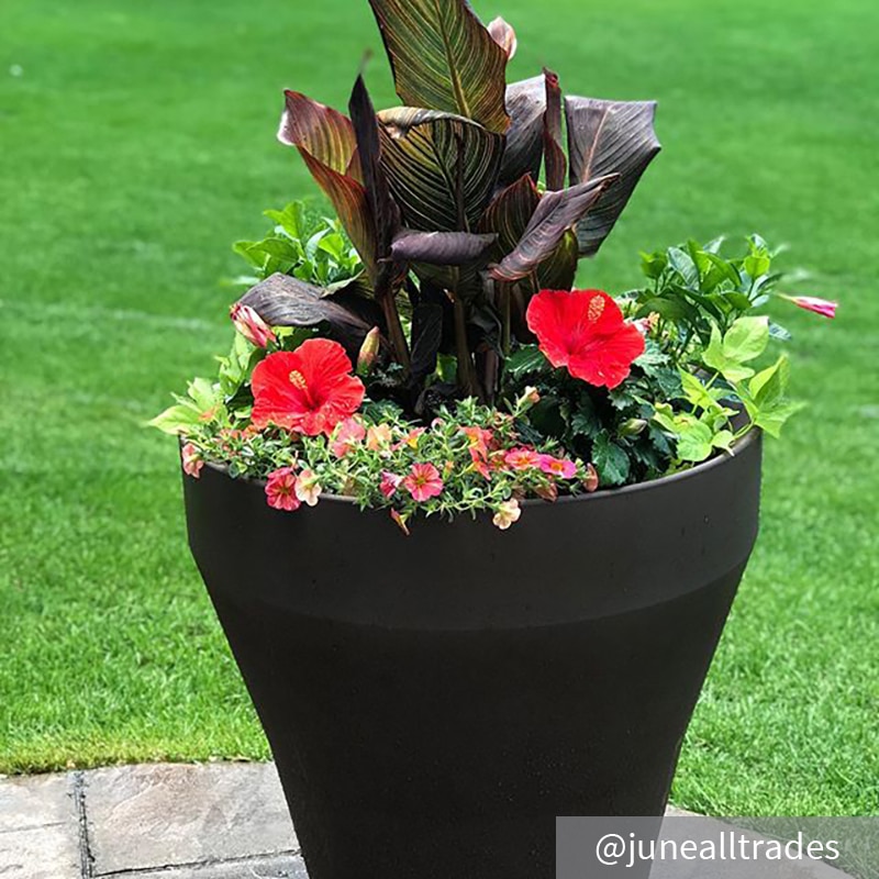 Crescent Garden Rim Self Watering Planter