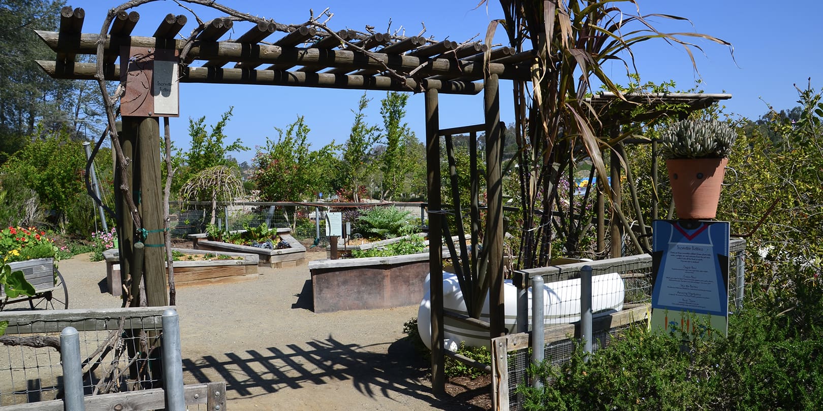 Madison Planter in San Diego Botanic Garden