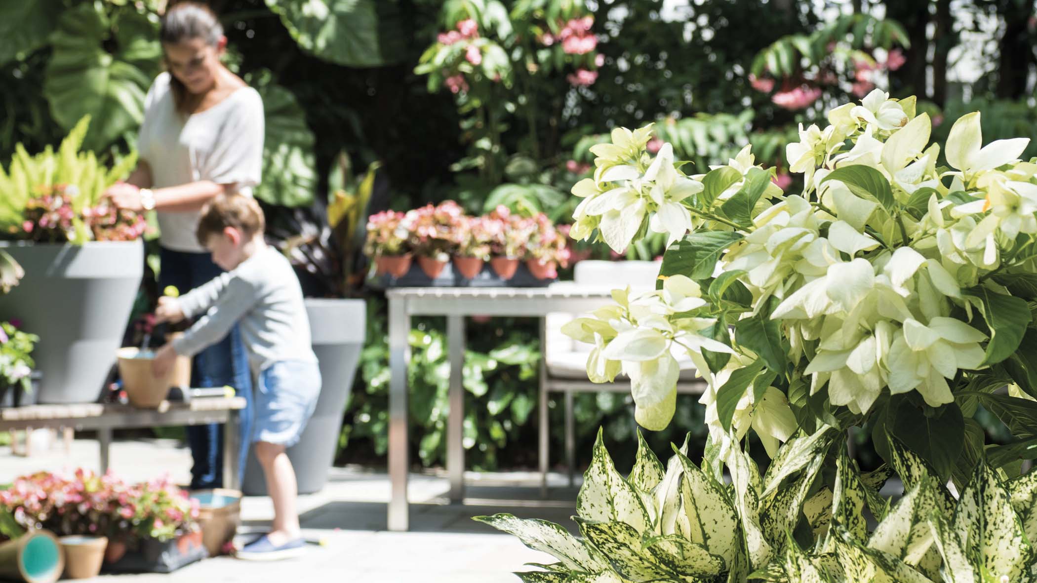 Woman and child gardening outdoors surrounded by potted plants and white caladiums in foreground