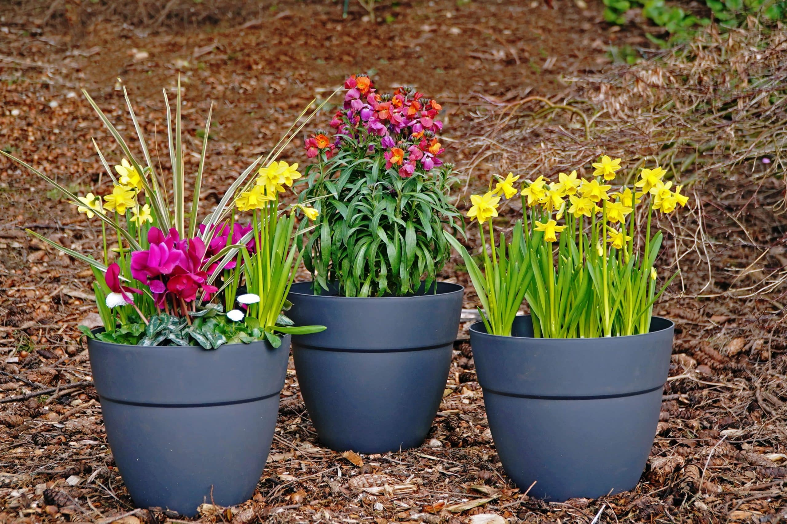 Create a Small, Spring Container with a Big Personality